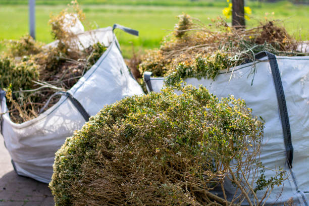 Best Construction Debris Removal  in Los Fresnos, TX